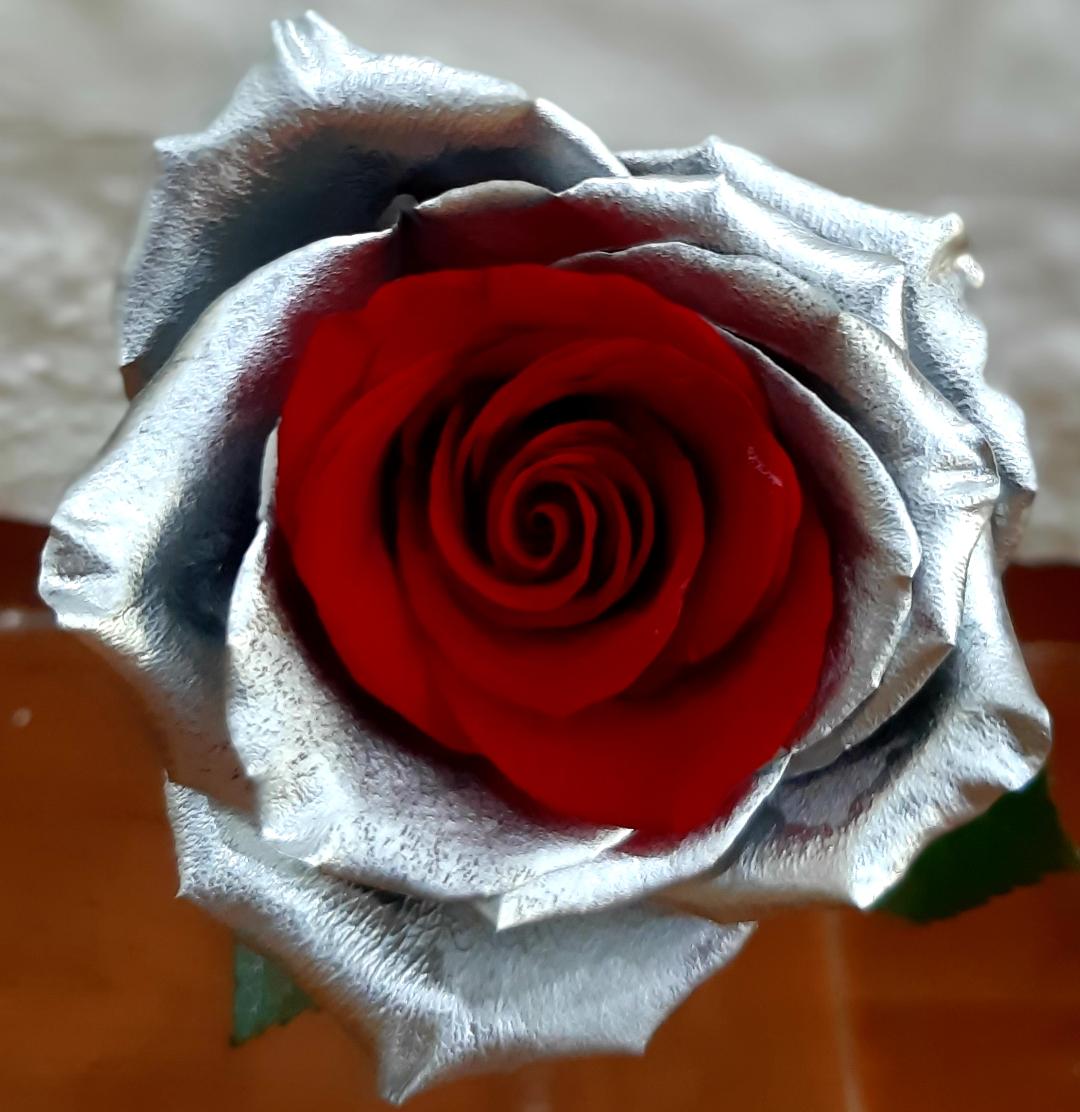 Envio y venta de flores ,rosas, plantas,arreglos florales ,regalos y desayunos a domicilio con delivery gratis en la Ciudad Autonoma de Buenos Aires y con costo de env�o en localidades del Gran Buenos Aires asi como delivery de flores y plantas a trav�s de florerias asociadas en todas las provincias de la Argentina, Buenos Aires, la Pampa, Tucuman, La Rioja, R�o Negro, Entre Rios, Corrientes, Misiones, Neuquen, Chubut, Tierra del Fuego, Santa Cruz, San Luis, Mendoza, Cordoba, Jujuy, Formosa, Santiago del Estero, Salta, Chaco, Catamarca ,San Juan, y ademas realizamos el delivery de flores ,coronas,palmas , plantas y regalos a todas las ciudades de Argentina, Mar del Plata, C�rdoba, Buenos Aires, con cargo en Santa Rosa, La Plata, Bella Vista, Neuquen, Pilar, Paran�, Posadas, Resistencia, Cipolleti y mas de 300 ciudades y localidades en todo el territorio de nuestro pa�s, asi como tambien tenemos la posibilidad de enviar flores a casi todo el mundo en cuestion de horas